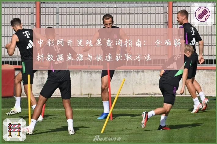 中彩网开奖结果查询指南:全面解析数据来源与快速获取方法