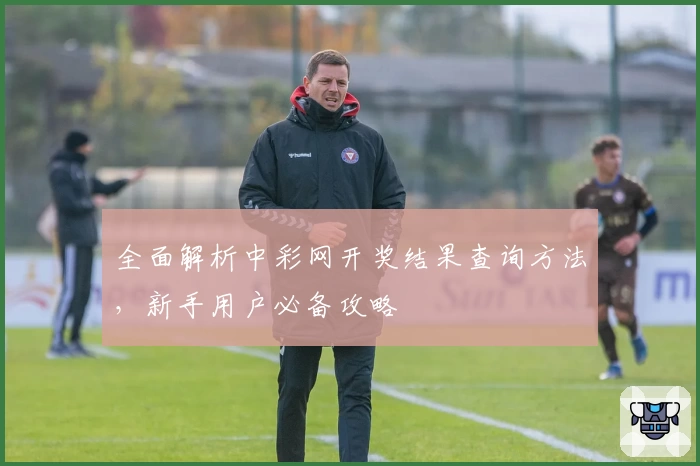 全面解析中彩网开奖结果查询方法，新手用户必备攻略