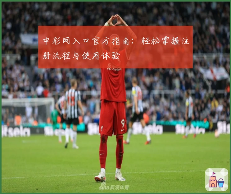 中彩网入口官方指南:轻松掌握注册流程与使用体验