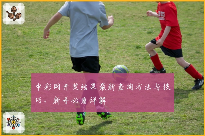 中彩网开奖结果最新查询方法与技巧，新手必看详解