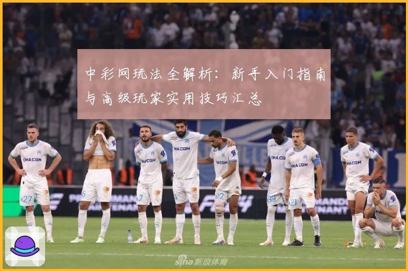 中彩网玩法全解析：新手入门指南与高级玩家实用技巧汇总