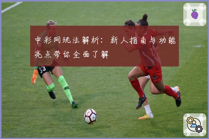 中彩网玩法解析:新人指南与功能亮点带你全面了解