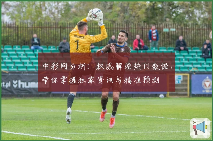 中彩网分析:权威解读热门数据,带你掌握独家资讯与精准预测