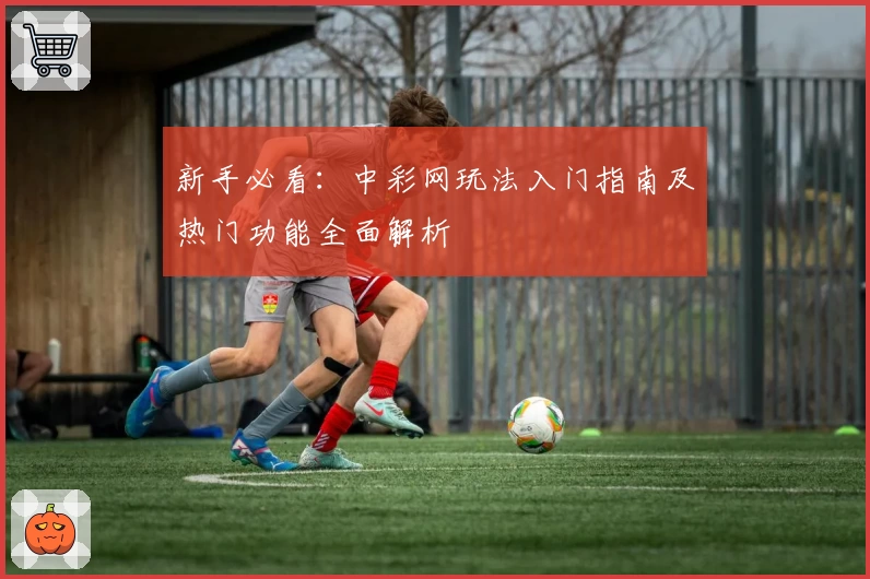 新手必看:中彩网玩法入门指南及热门功能全面解析