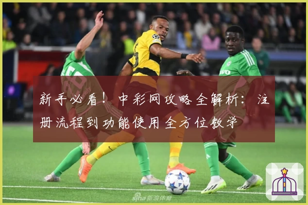 新手必看！中彩网攻略全解析：注册流程到功能使用全方位教学