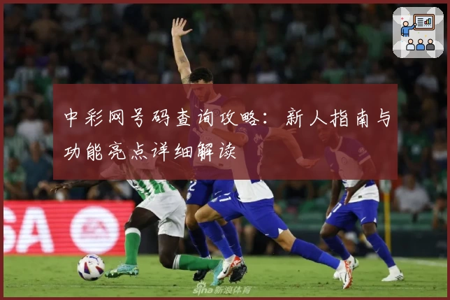 中彩网号码查询攻略：新人指南与功能亮点详细解读