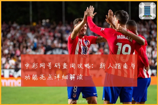 中彩网号码查询攻略：新人指南与功能亮点详细解读